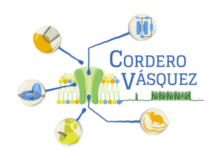 Cordero-V&aacute;squez Research Group